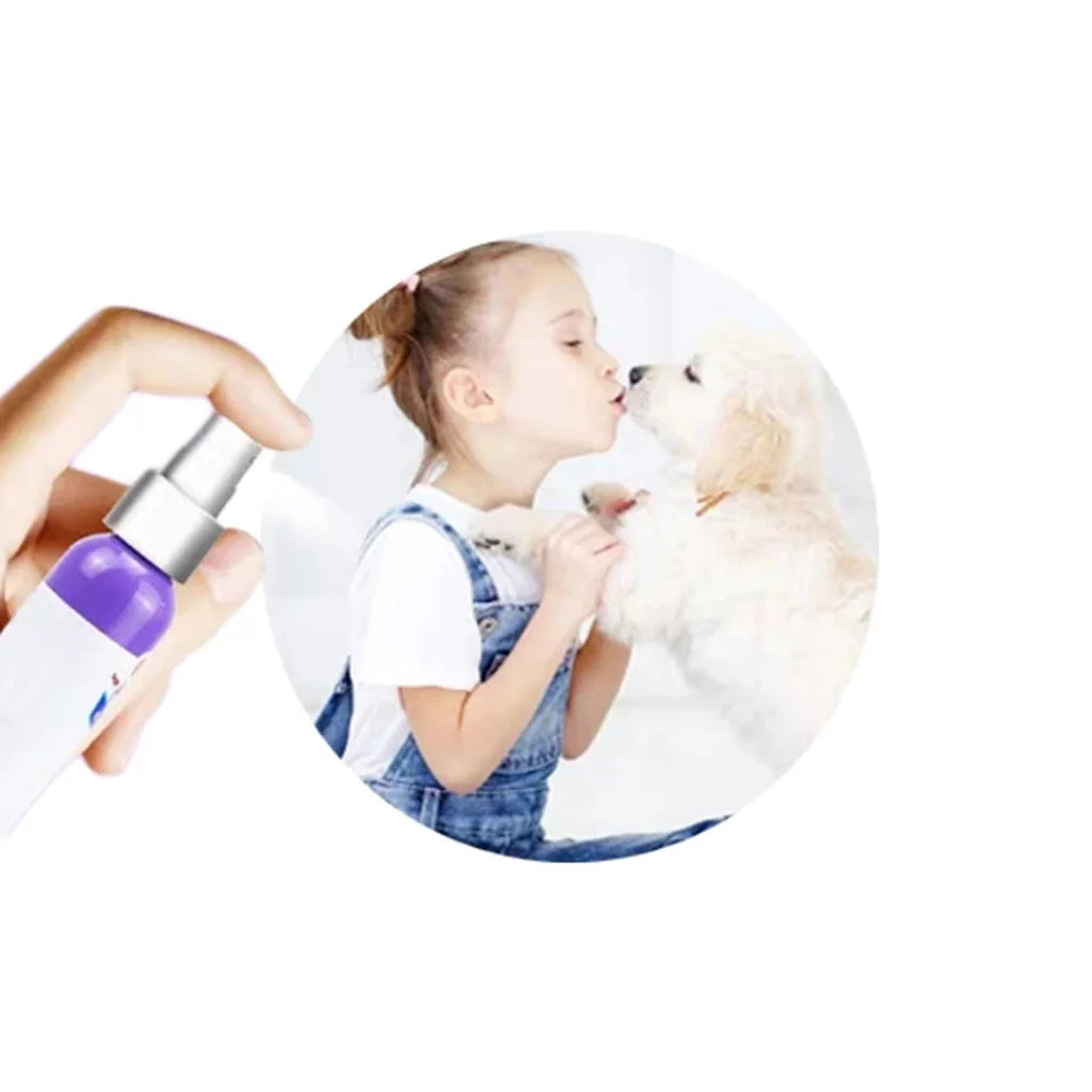 Antibacterial Pet Dental Freshener for Dogs