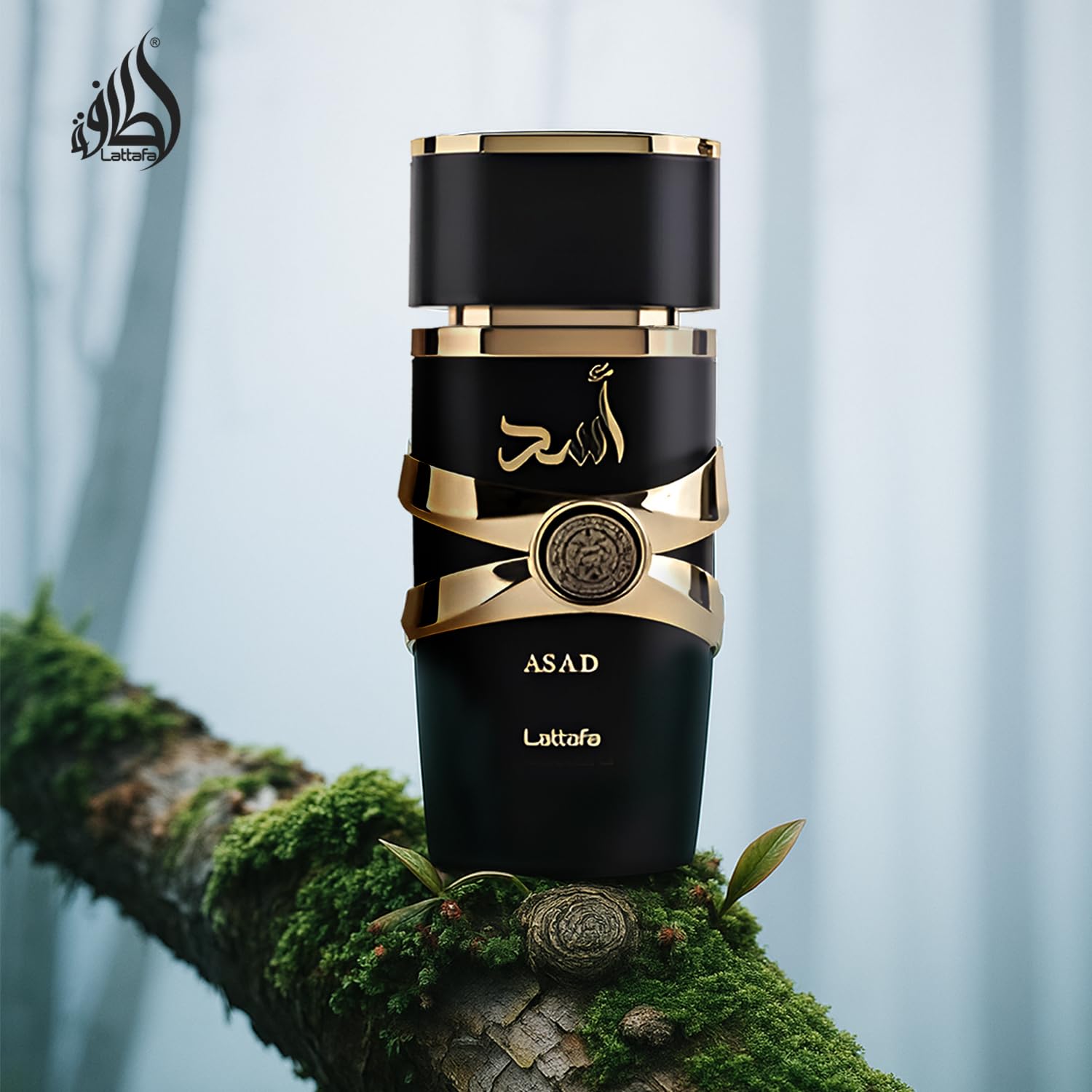 Perfumes Asad for Unisex Eau De Parfum Spray, 3.4 Ounce
