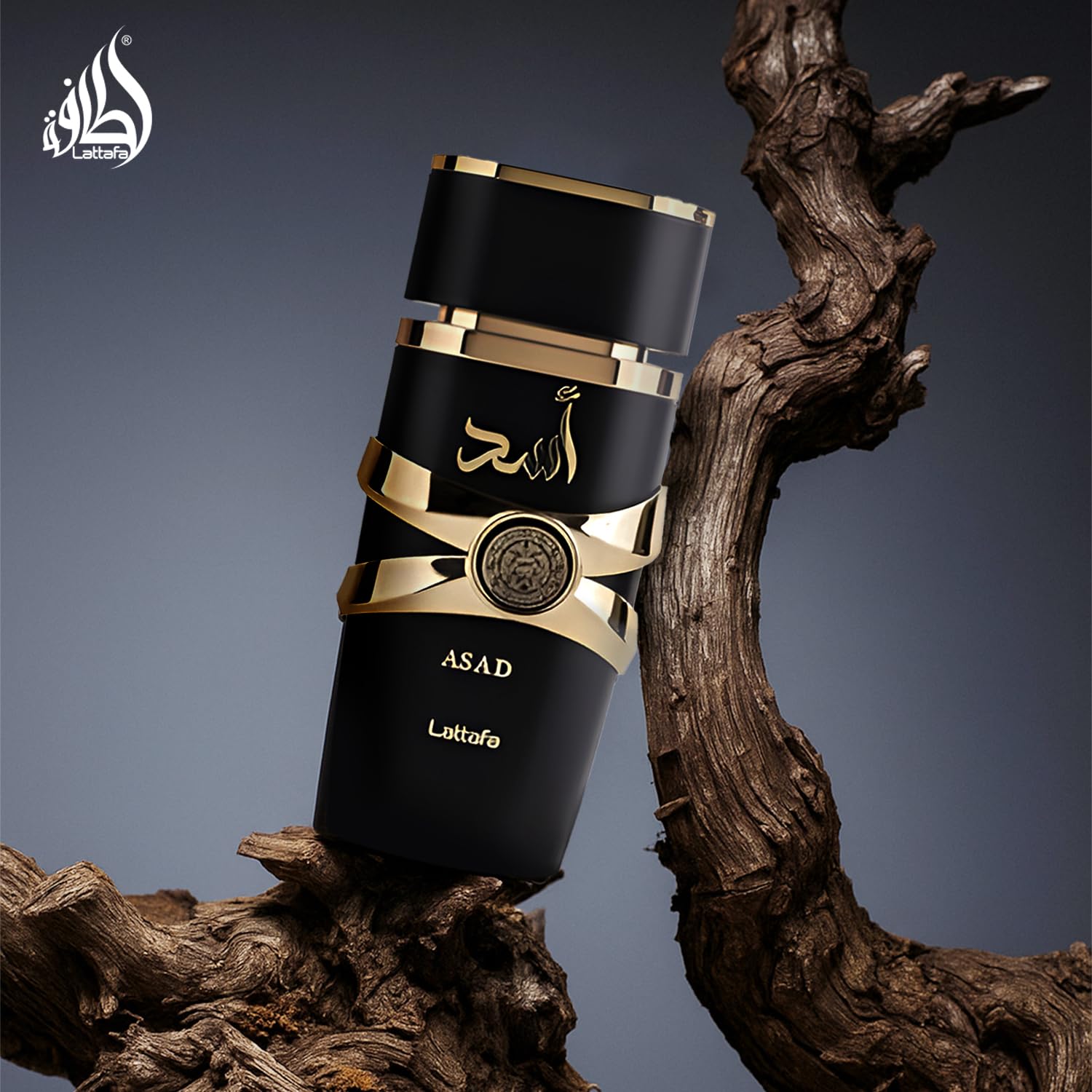 Perfumes Asad for Unisex Eau De Parfum Spray, 3.4 Ounce
