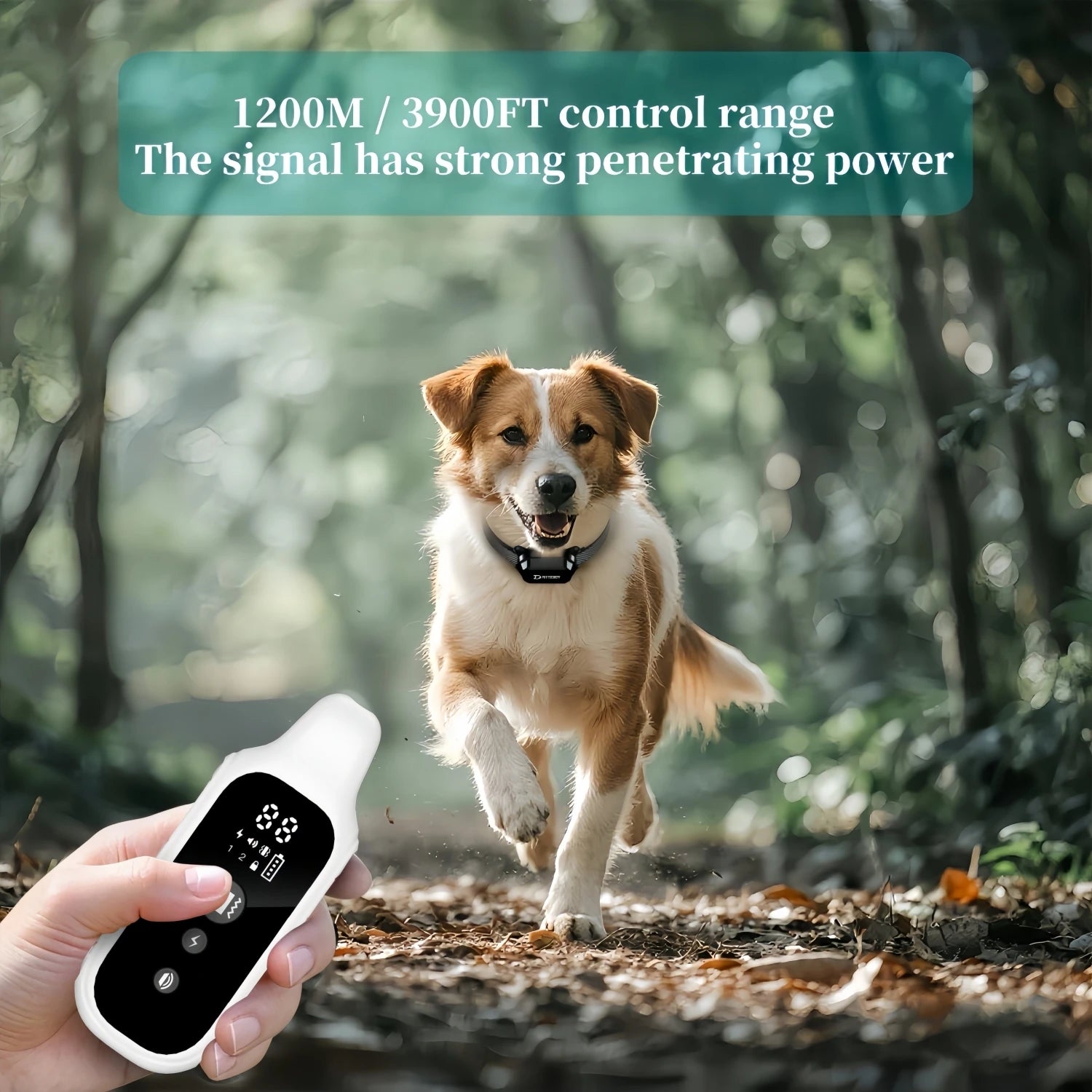 800M Digital Dog Training Collar Waterproof Rechargeable Remote Control Pet with LCD Display for All Size Shock Vibration Sound