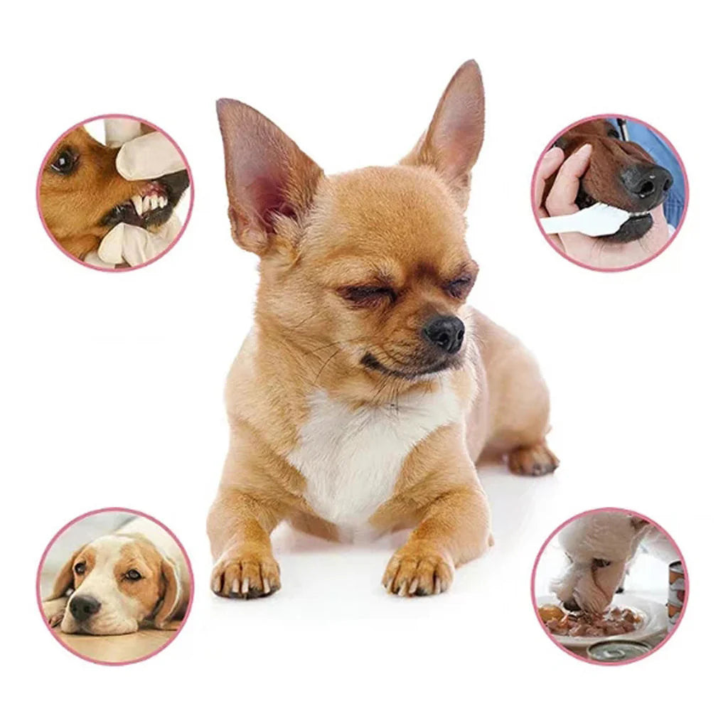 Antibacterial Pet Dental Freshener for Dogs