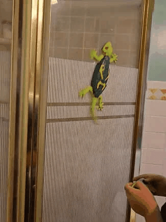 Popular Intelligent Electric Lizard Remote Control Gecko Charging Wall Crawling Remote Control Mechanical Gecko Crawler Toy